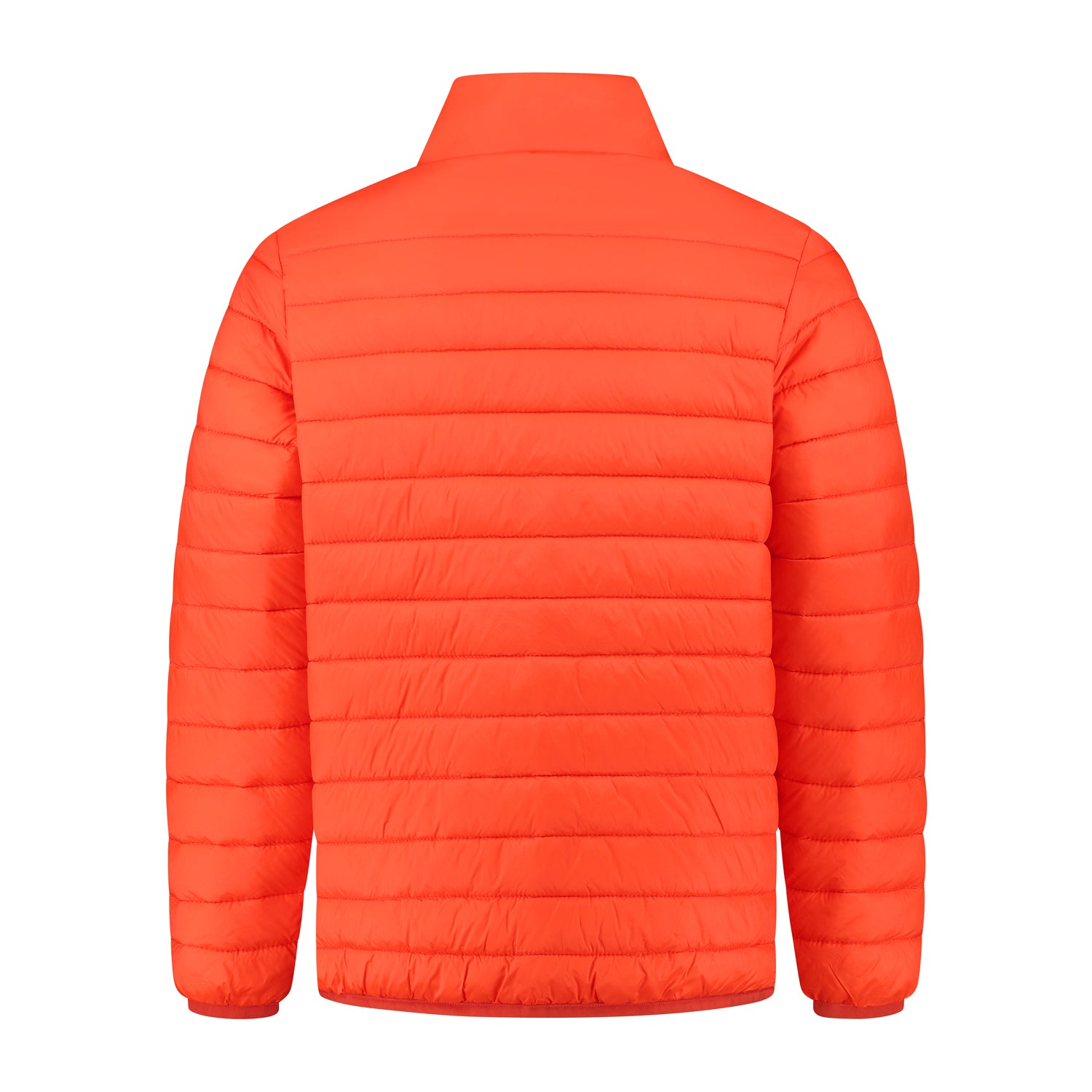 Norwich Red B