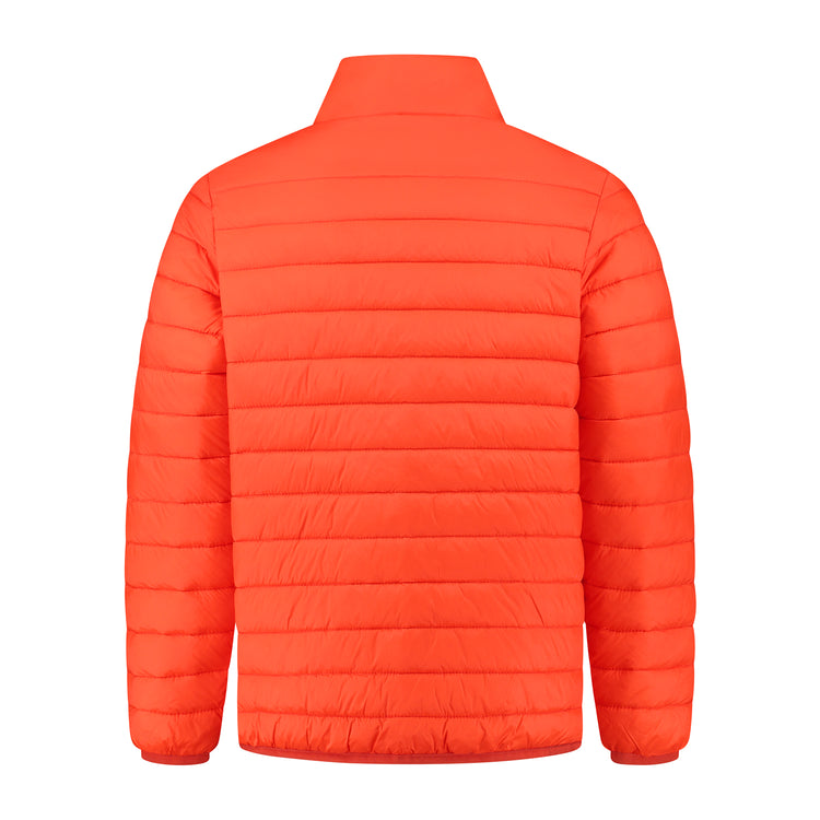 Norwich Red B